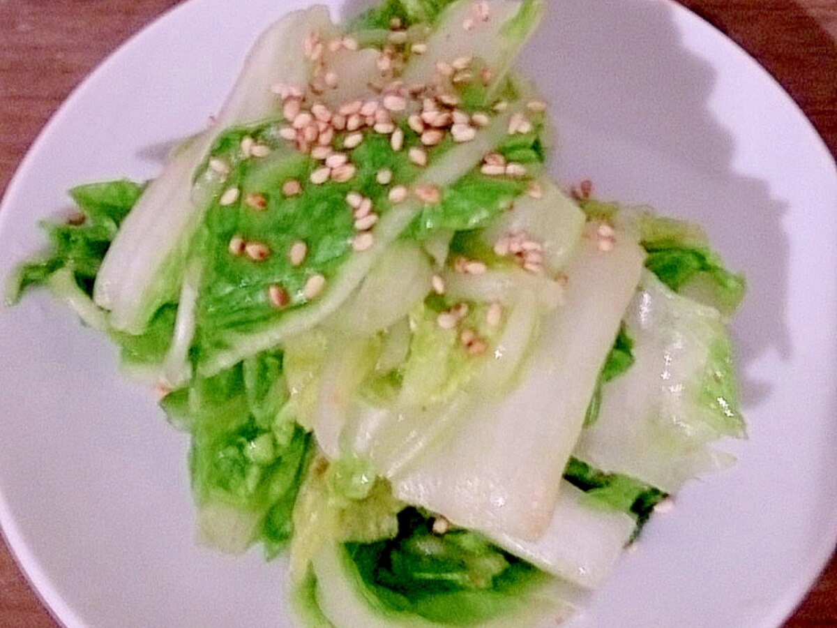 昆布茶で白菜の浅漬け レシピ 作り方 By K 楽天レシピ 昆布茶で白菜の浅漬け レシピ 作り方 By K 楽天レシピ